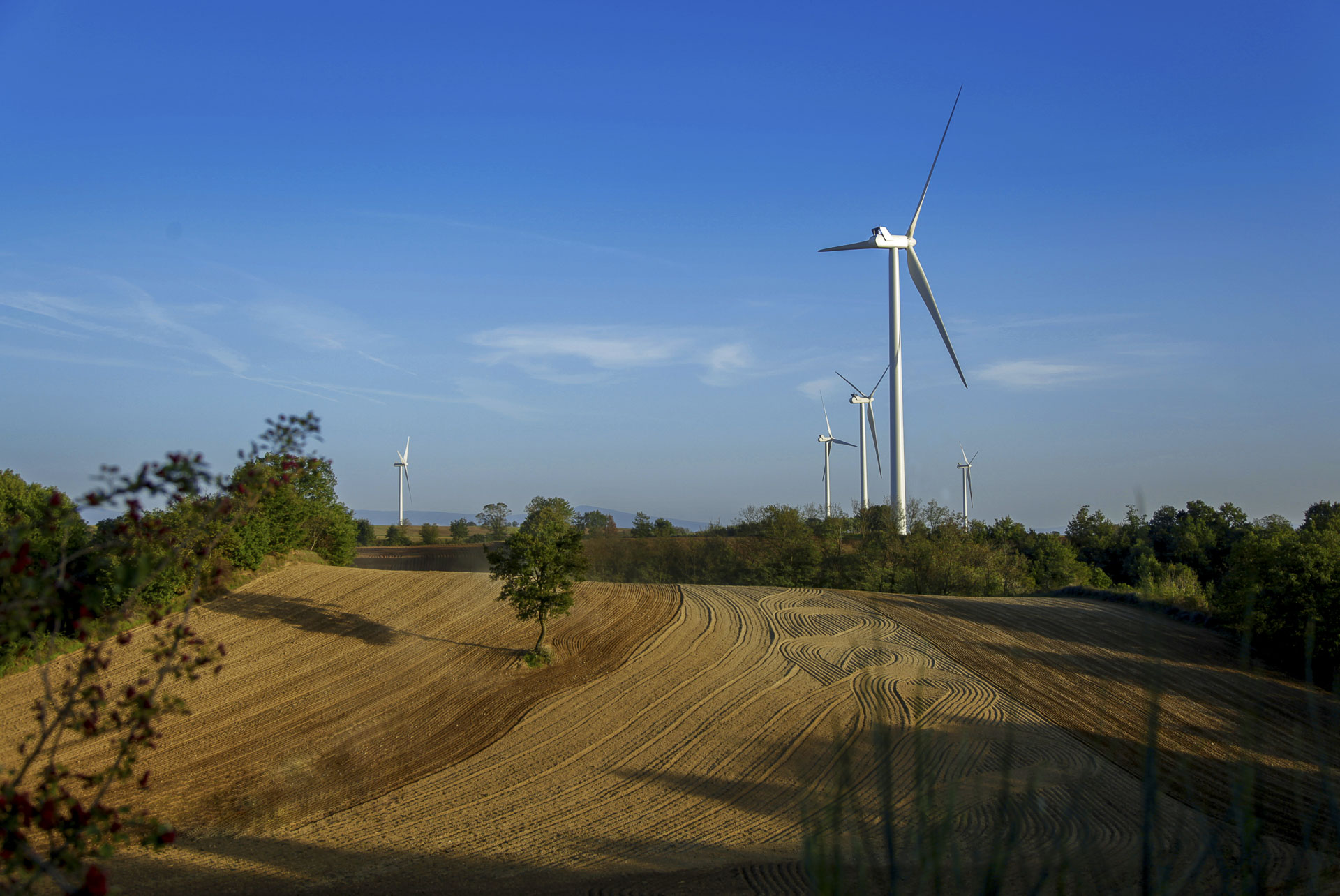 Parco eolico di Piansano produzione energia verde rinnovabile CVA